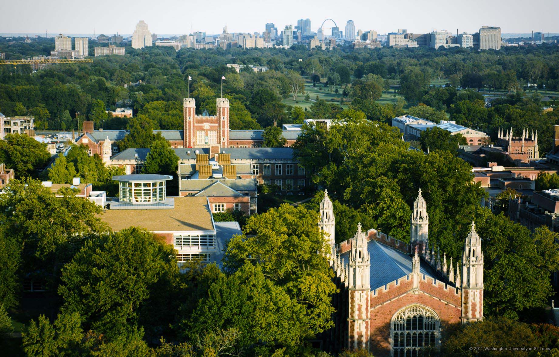 Washington University in St. Louis