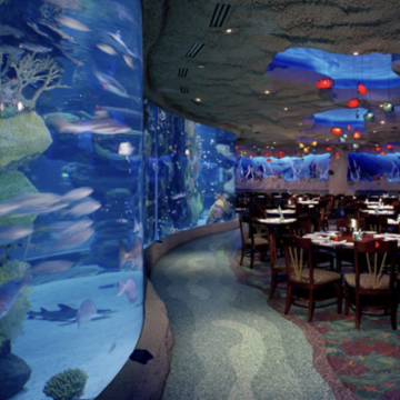 Interior view of Downtown Houston Aquarium - tables set up for an event inside aquarium room