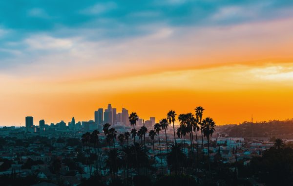 Downtown Los Angeles skyline at sunset with palm trees in the 